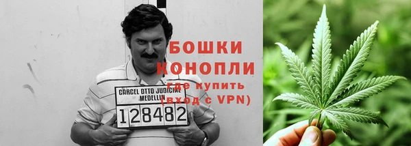 метадон Каменногорск