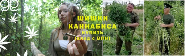 метадон Каменногорск